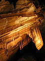 Draperie in Gunns Plains Cave, Tasmania, Australia