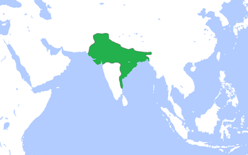 Pataliputra served as the capital of the Gupta Empire.