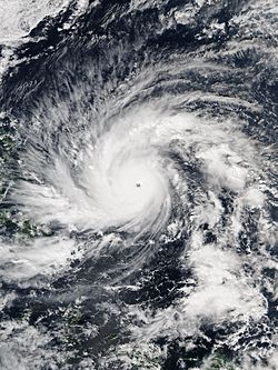 Image satellite du typhon Hagupit