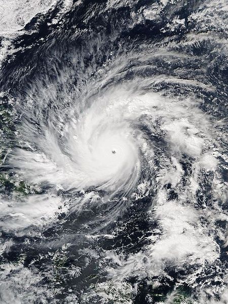 Bão_Hagupit_(2014)