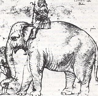<span class="mw-page-title-main">Hanno (elephant)</span> Pet elephant of Pope Leo X