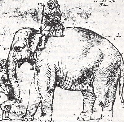 Hanno (elephant)