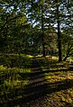 Image 777Hiking trails along the Gandsfjorden, Sandnes, Norway