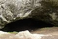 Vchod do volně přístupné jeskyně Lidomorna, nacházející se u paty skály s hradem Holštejn