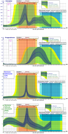 Ovarian steroid hormones wiki