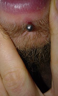 Body Piercing Wikiwand