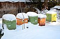 Bienenstand mit Magazinbeuten (Bienenkästen, Holz und Styrophor) im Winter im Schnee, Imkerei in Chemnitz