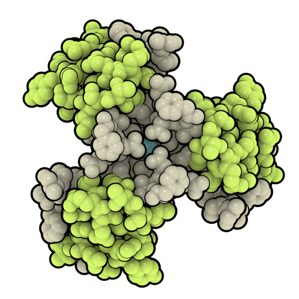 File:Insulin degludec hexamer 4AKJ.png