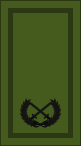 File:Ireland-Army-OF-6 camo.svg