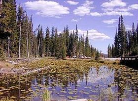 Az Isa Lake cikk szemléltető képe