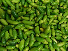 Immature fruits ready for consumption in India Ivy gourd in India.JPG