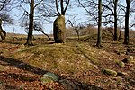 Vignette pour Menhir de Jægersborg