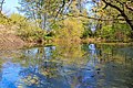 Pohled na Jarkovského jezero