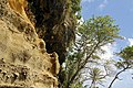 Jarvis Road, St Vincent and the Grenadines - panoramio.jpg