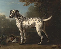 John Wootton (1682–1764) Seekor Anjing Pemburu Berbintik Kelabu.