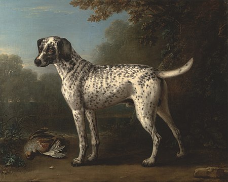 Fail:John_Wootton_-_A_Grey_Spotted_Hound_-_Google_Art_Project.jpg