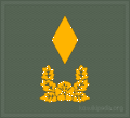 KA insignia (cloth) Warant Officer.gif