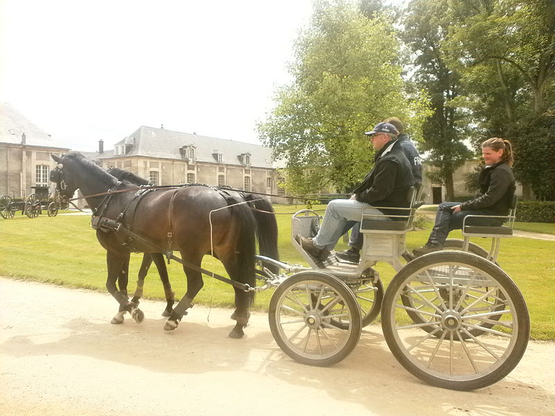 File:KWPN haras de Compiègne2.JPG