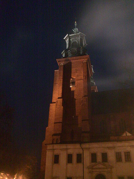 File:Katedra Gnieźnieńska - panoramio - geo573 (5).jpg