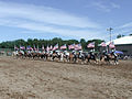 Thumbnail for Equestrian drill team