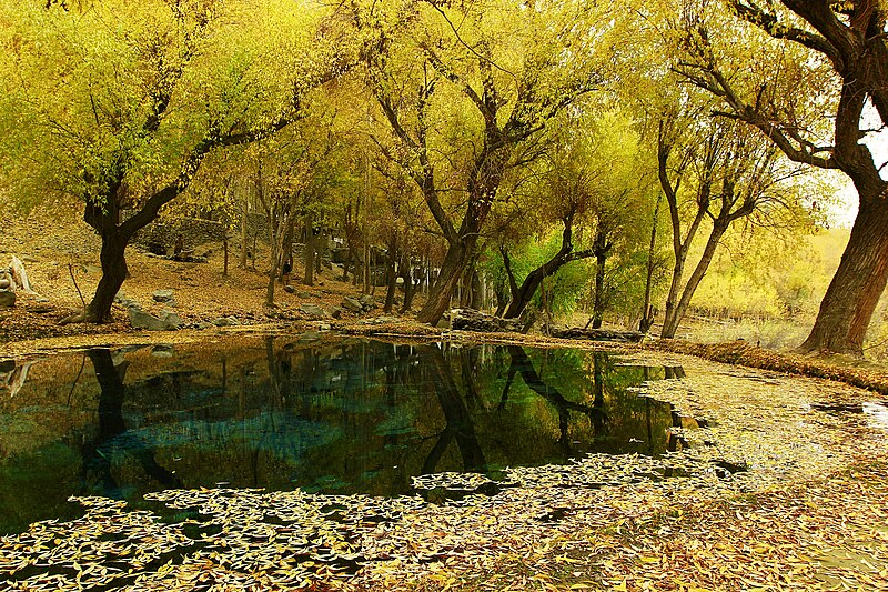 File:Khaplu,north pakistan.JPG