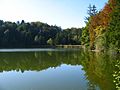 Oberer Weiher südlich von Erling