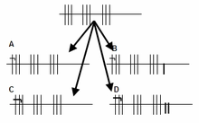 Scoring examples Kontra a Matt - Bewaerten.PNG