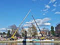 Koskipuisto on 1st May 2016 first year students of Tampere University of Technology traditionally being dunked into the river Tammerkoski by crane.jpg