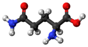 Miniatuur voor Glutamine