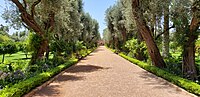 La Mamounia garden.jpg