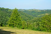 La vallata del torrente Cusina, vista verso Ovest, nei pressi di case Giaclot di Marsaglia.