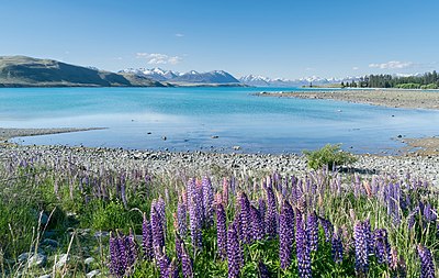 Lake Tekapo 01.jpg