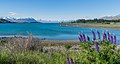 * Nomination Lake Tekapo in Canterbury Region, South Island of New Zealand. --Tournasol7 06:12, 29 August 2019 (UTC) * Promotion  Support Good quality. --Aristeas 10:17, 30 August 2019 (UTC)