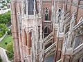 Español: Lateral sudeste de la Catedral de La Plata vista desde la Torre de Jesús a 42 m de altura.