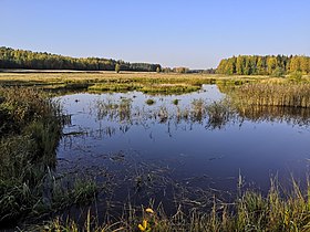 Lautalahti-baai in Sääminginsalo.