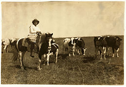 Lewis Hine, Sarah Crutcher, 12-year-old cattle herder, Lawton, Oklahoma, 1917.jpg