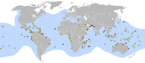 Map showing turtle distribution with concentrations at entrance to Persian Gulf, East African coast, East and West South African coasts, Northern Australia, and Indonesia, with lesser concentrations in Caribbean, Western African coast, Red Sea, India, and Oceania.