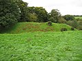 Lydford Early Norman Fort - geograph.org.uk - 1020064.jpg