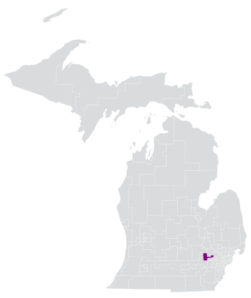 Michigan's 49th House of Representatives district