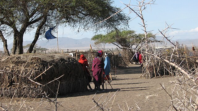 Maasai people and huts with enkang barrier in foreground - eastern Serengeti, 2006