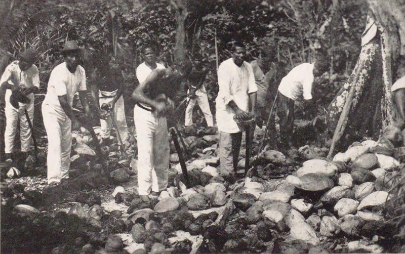 File:Making copra, Marshall Islands (from a book published in 1932).png