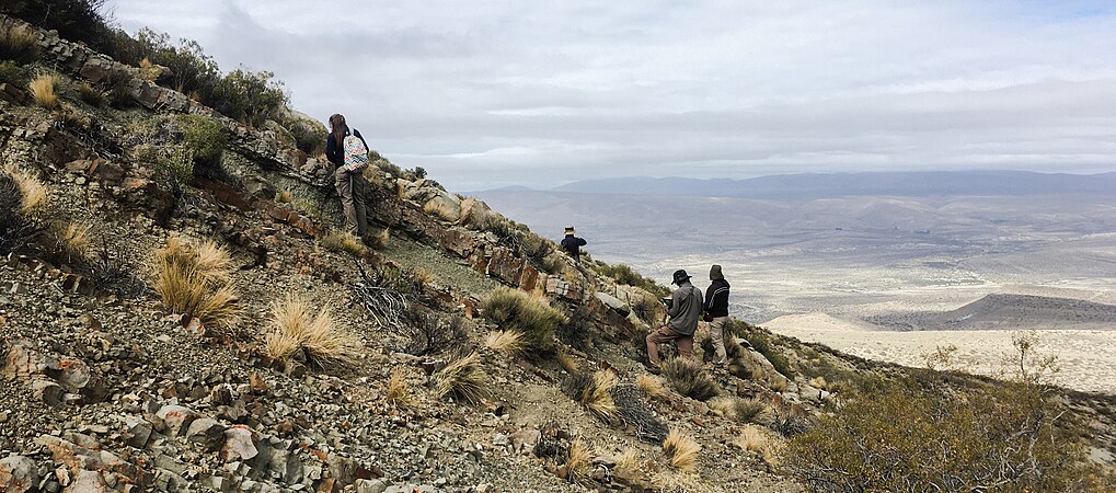 Researchers and students of the Andean Geological Studies Group (UNS-CONICET) hiking over Early Cretaceous sedimentary rocks of the Neuquén basin, Argentina, among native Patagonian flora. Photo by Valentalf