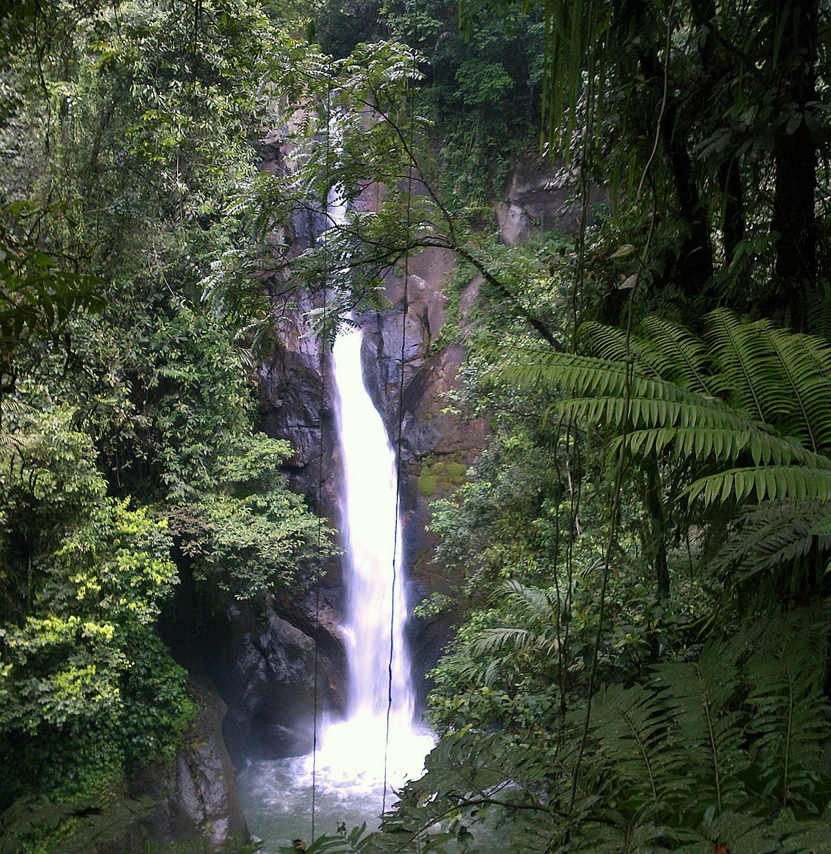 Curug Pi'it - Wikipedia bahasa Indonesia, ensiklopedia bebas