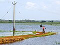 20:39, 6 ഏപ്രിൽ 2013-ലെ പതിപ്പിന്റെ ലഘുചിത്രം