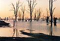 Mare di Ansenuza o la Mar Chiquita inondata in agosto dell'anno 1989.