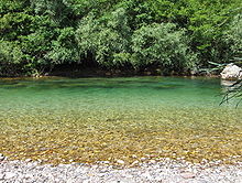 La Neretva, en Bosnie-Herzégovine. Type d'habitat où vit encore la Truite à lèvres molles.