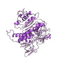 Merkuri reduktase protein structure.jpg