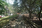 Wooded area in Family Farm