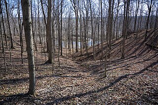 <span class="mw-page-title-main">Frances Slocum State Forest</span> State forest in Miami County, Indiana, U.S.