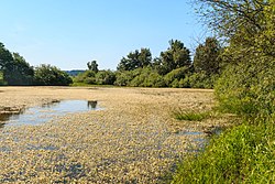 Modřecký rybník u Poličky